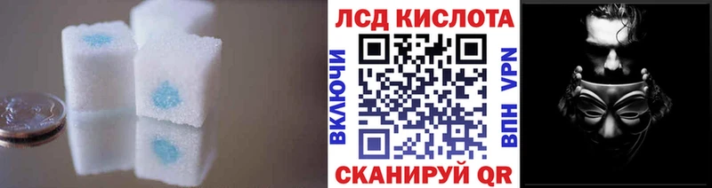 как найти закладки  Стародуб  LSD-25 экстази кислота 