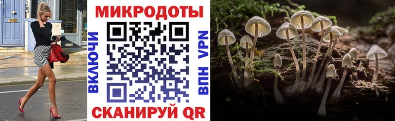 Псилоцибиновые грибы Psilocybine cubensis  цена наркотик  Стародуб 